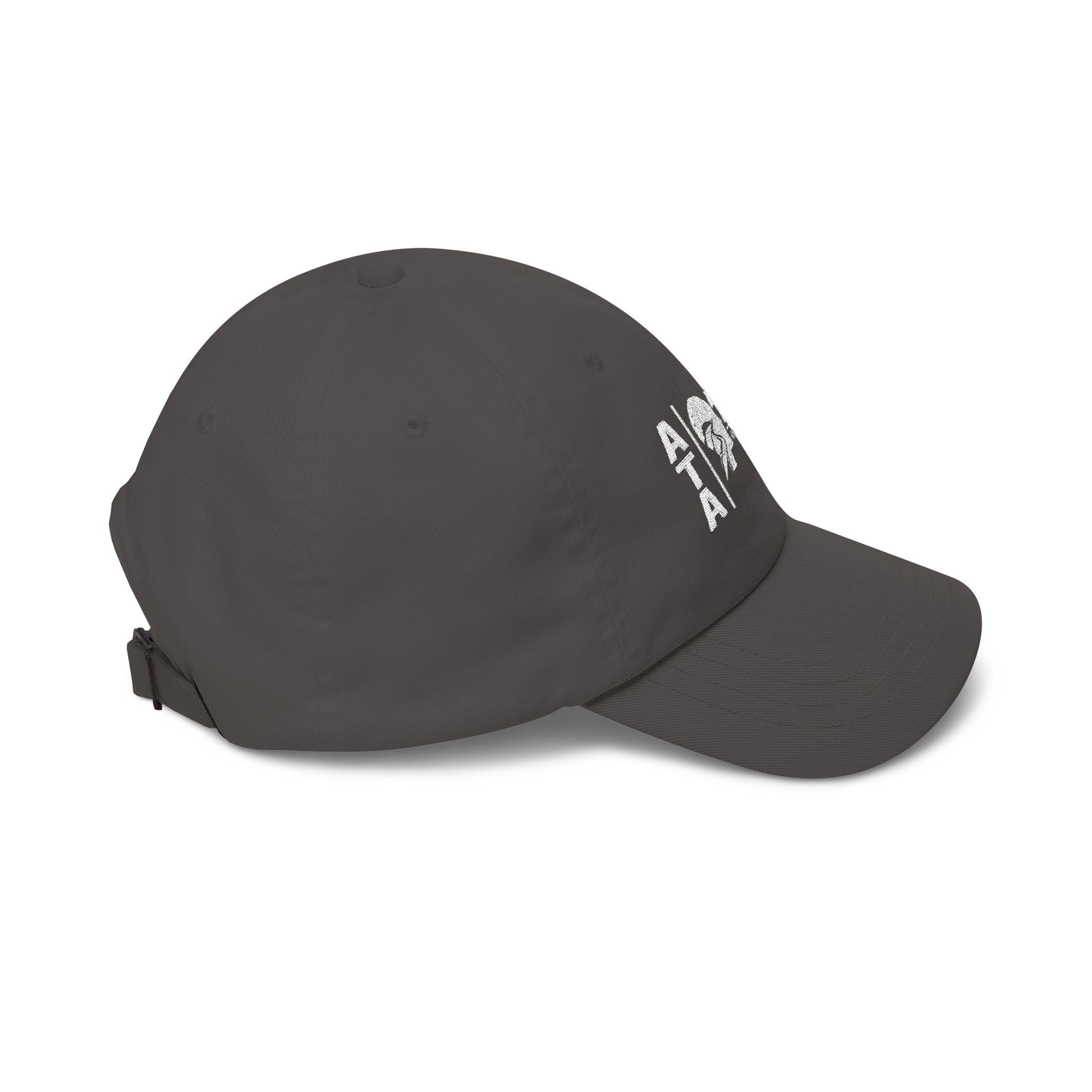 ATA Mission Ready Cap — Healing Comes After the Call