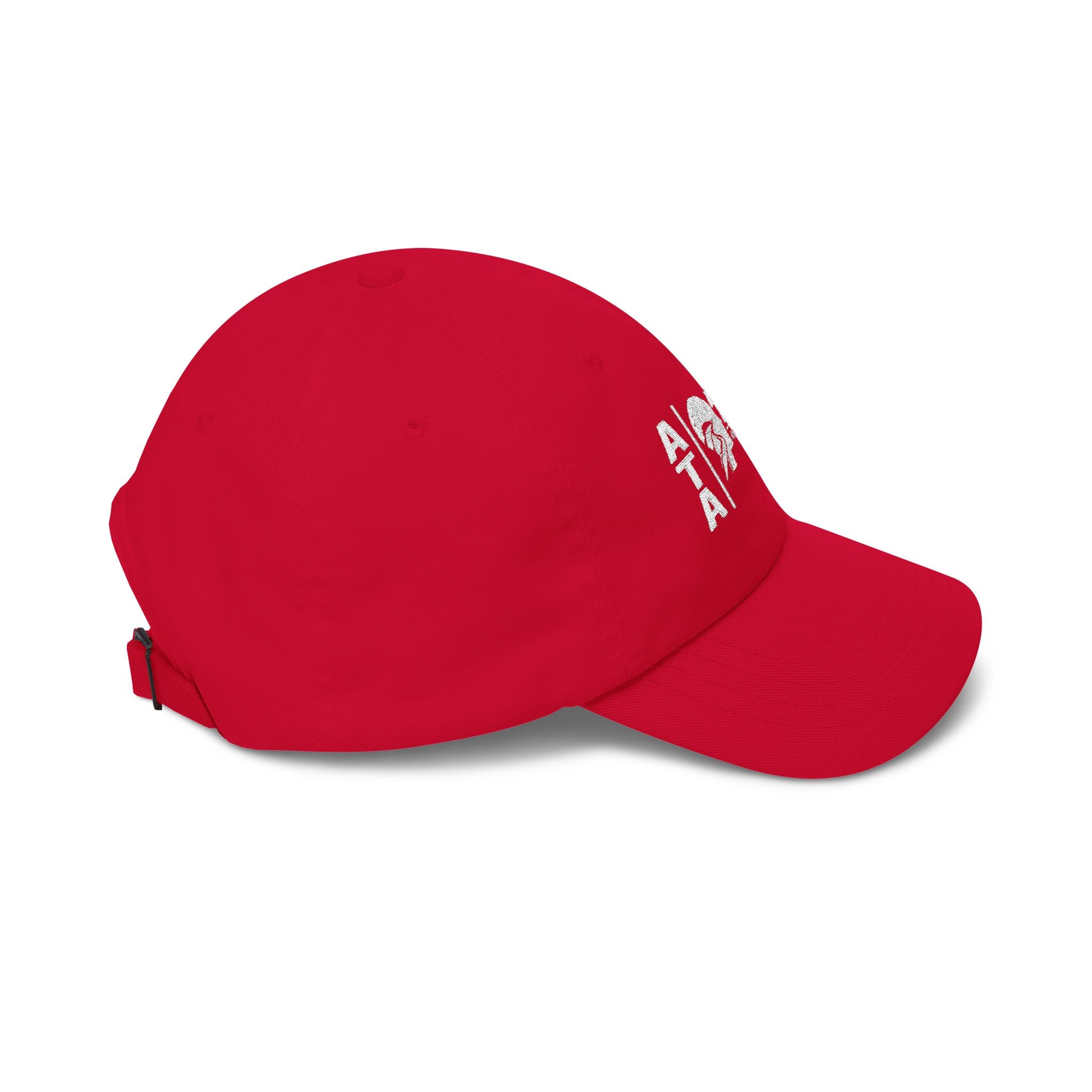 ATA Mission Ready Cap — Healing Comes After the Call